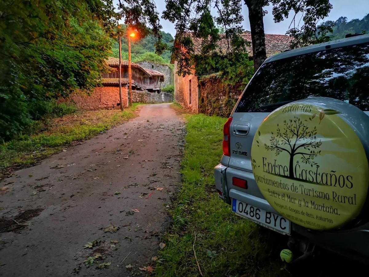 Casas Rurales Entrecastanos Cangas de Onís Exterior photo