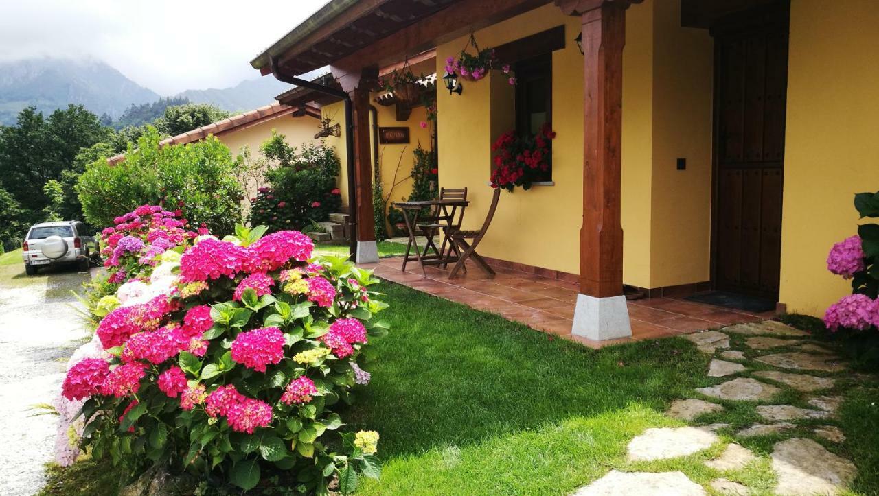 Casas Rurales Entrecastanos Cangas de Onís Exterior photo